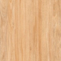 Gạch men sứ 60x60 Prime Evolution 03.600600.08206